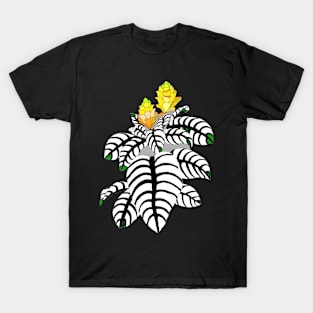 APHELANDRA SQUAROSA T-Shirt